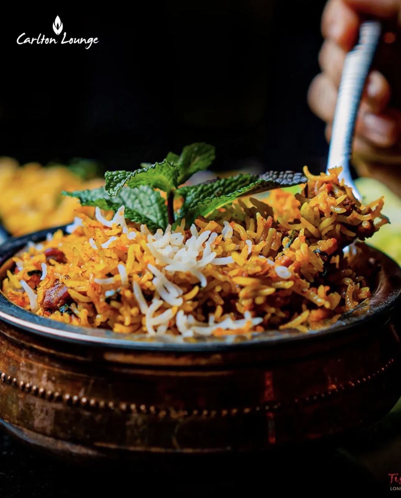 Hyderabadi Biryani